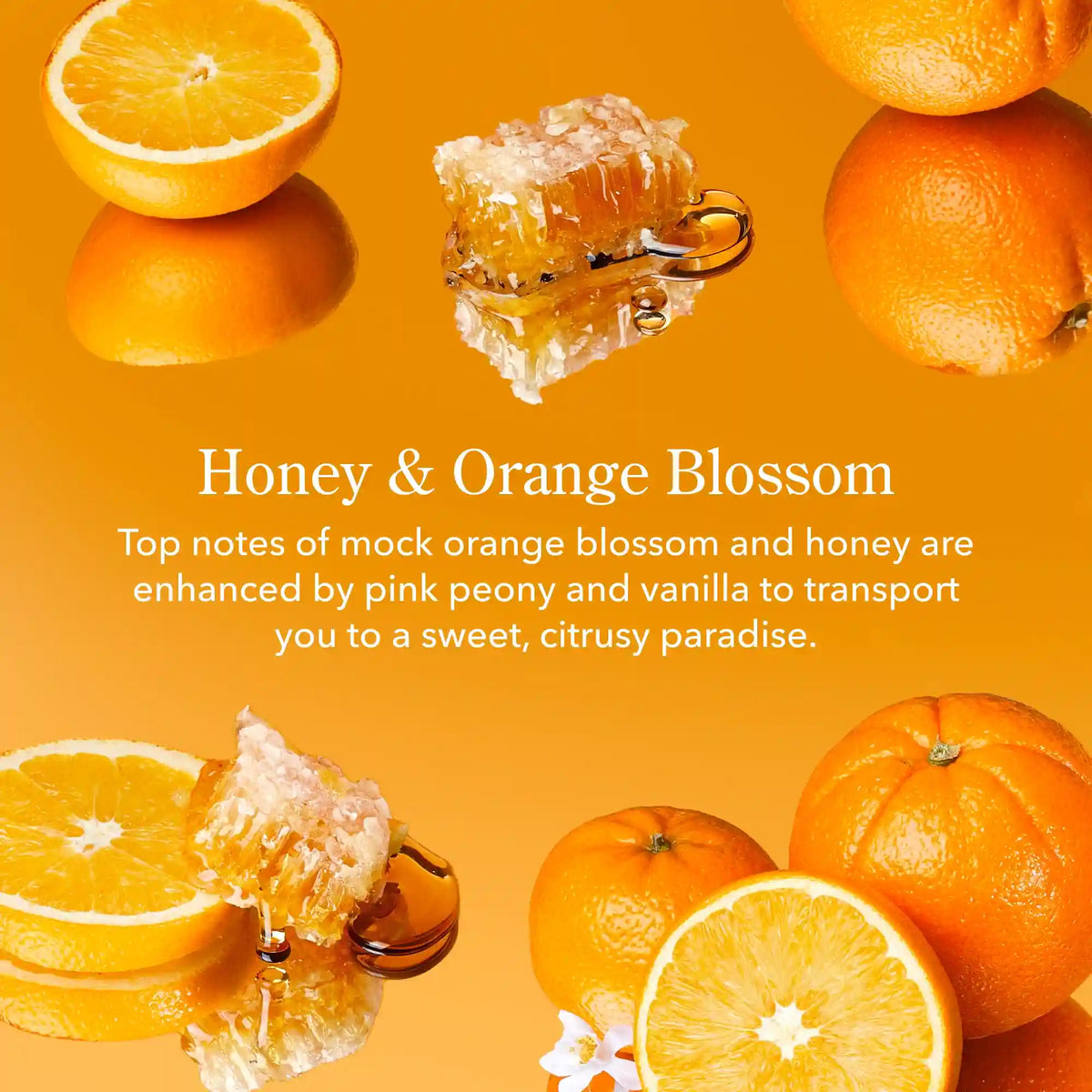 Honey & Orange Blossom Goat Milk Lotion