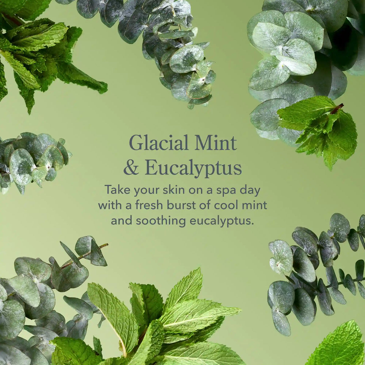Glacial Mint & Eucalyptus Hand Cream