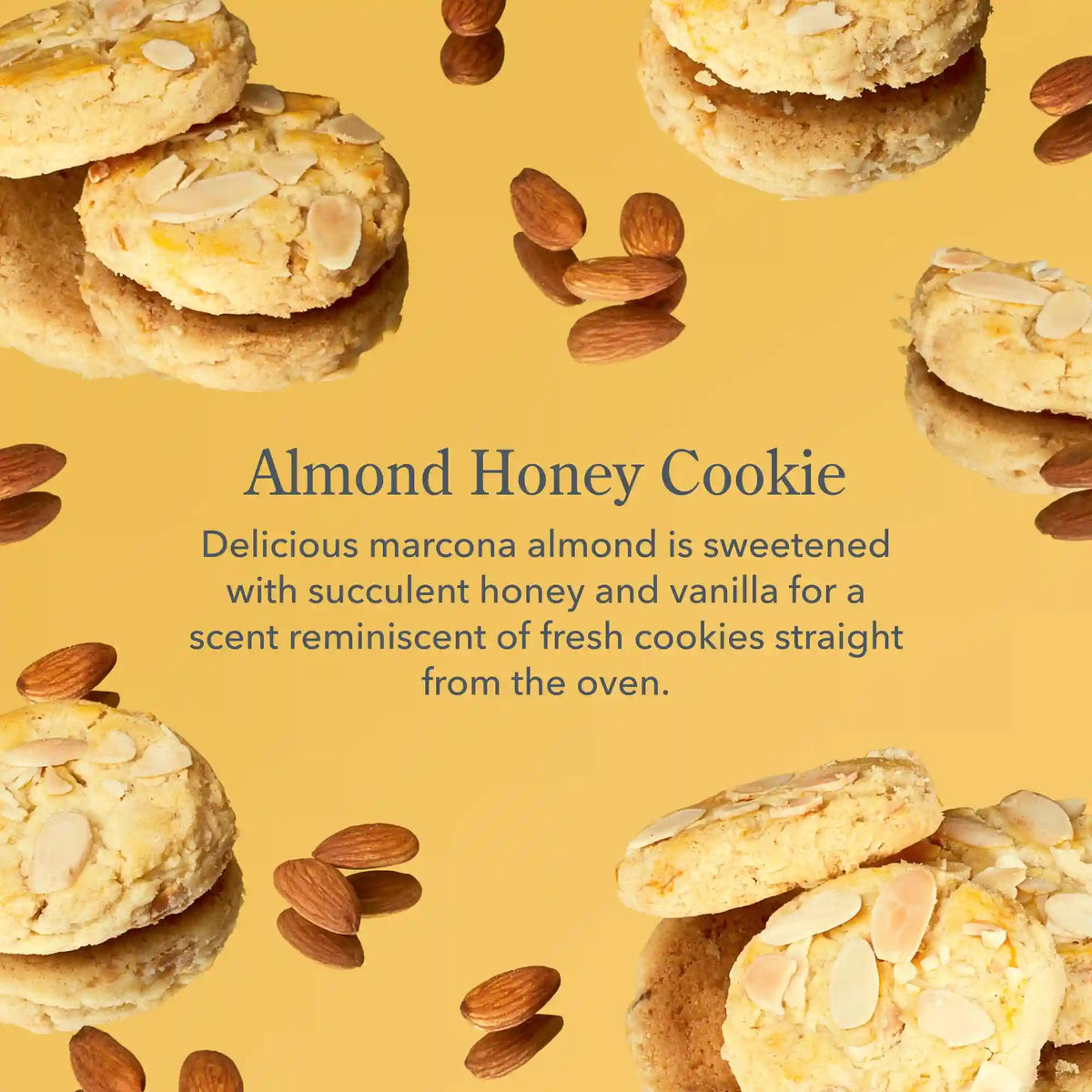 Almond Honey Cookie Hand & Body Wash