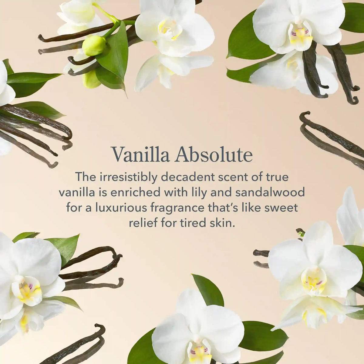 Vanilla Absolute Goat Milk Lotion