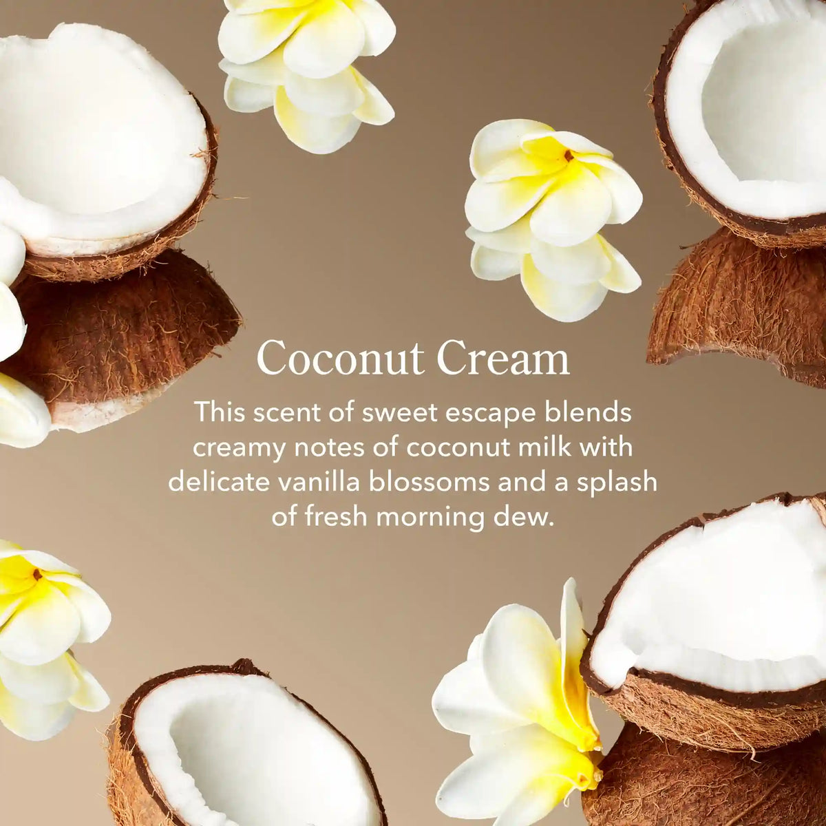 Coconut Delight Bodycare Bundle
