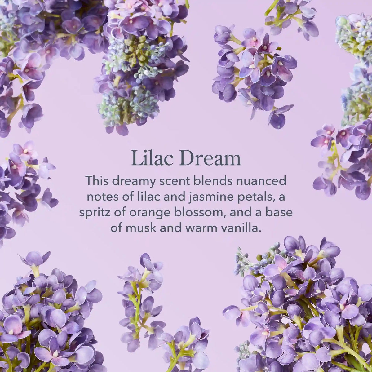 Lilac Dream Whipped Body Cream